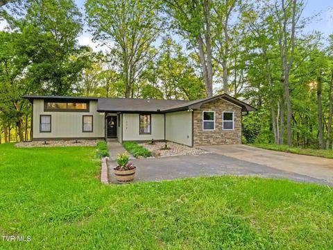 Photo of 630 Ancient Oaks Court, White Pine, TN 37890 (MLS # 9992555)