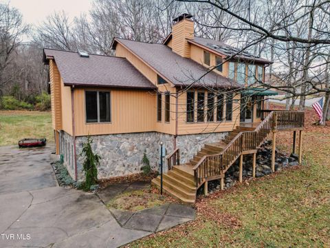 Photo of 299 Rufe Taylor Road, Greeneville, TN 37745 (MLS # 9988748)