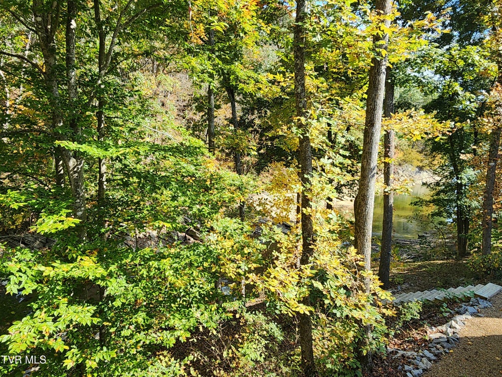 Photo of 22067 Parks Mill Road, Abingdon, VA 24211 (MLS # 10002568)