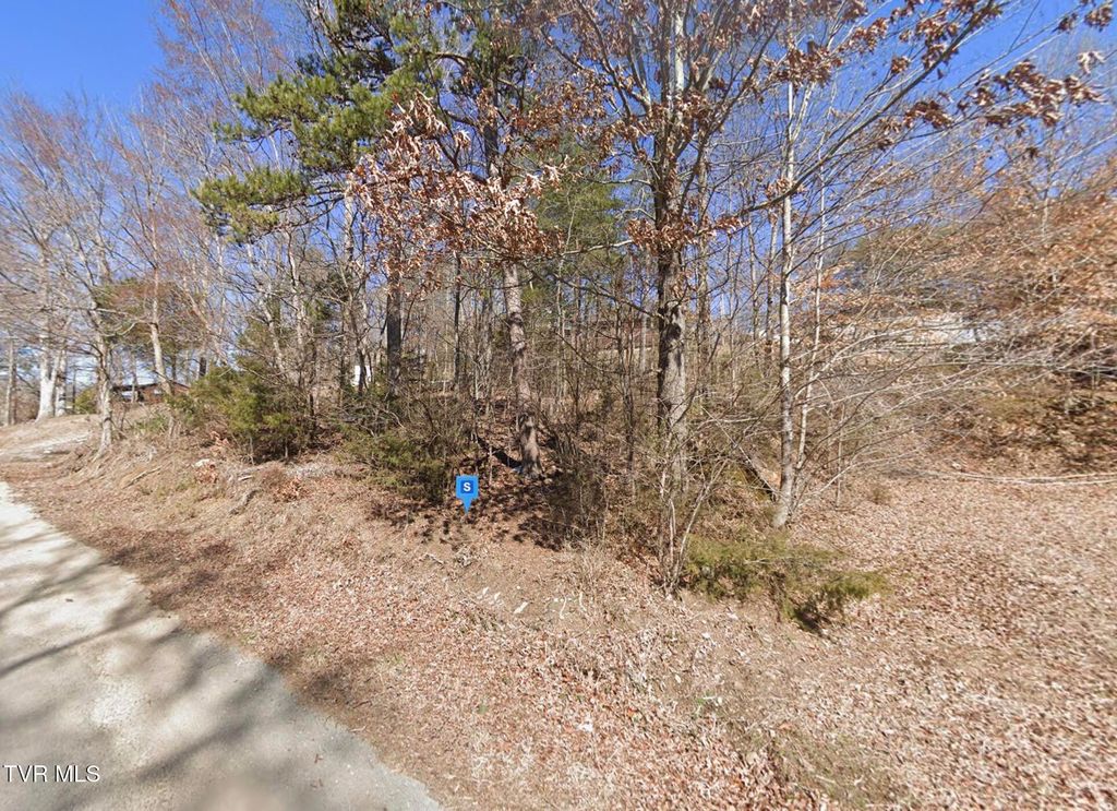 Photo of 1519 Dover Lane, Dandridge, TN 37725 (MLS # 9986274)