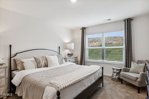 Tiny photo for 109 Crawford Circle, Bristol, TN 37620 (MLS # 9978849)