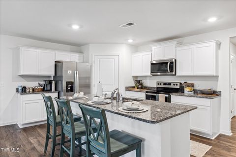 Tiny photo for 109 Crawford Circle, Bristol, TN 37620 (MLS # 9978849)