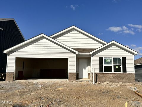 Tiny photo for 109 Crawford Circle, Bristol, TN 37620 (MLS # 9978849)