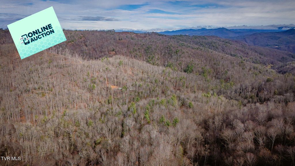 Photo of Tbd Heaton Branch Road, Butler, TN 37640 (MLS # 9988855)