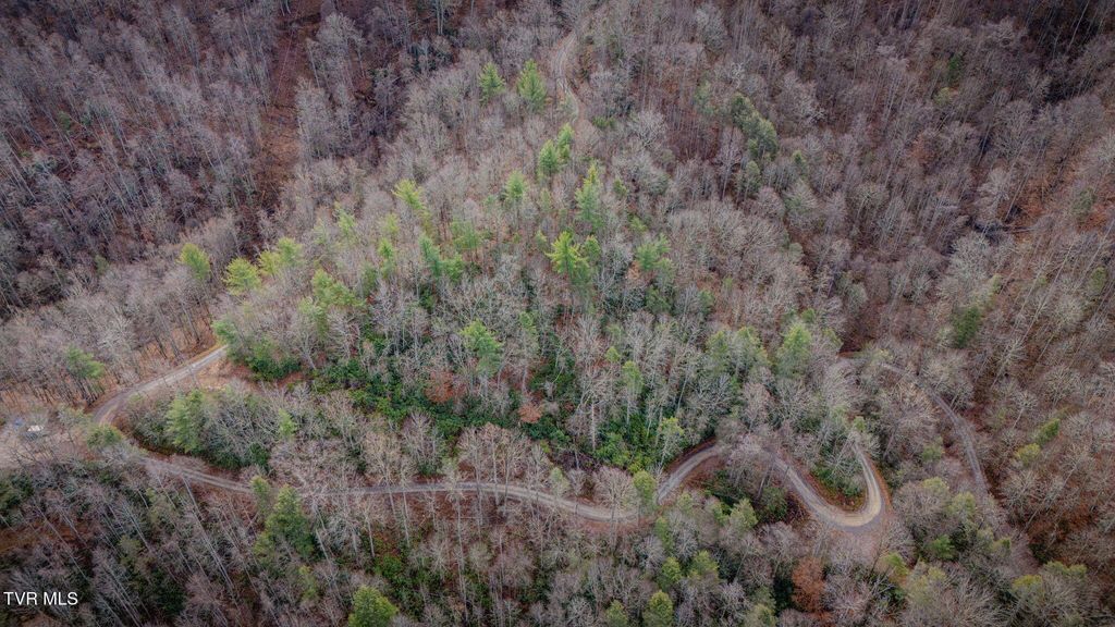 Photo of Tbd Heaton Branch Road, Butler, TN 37640 (MLS # 9988855)