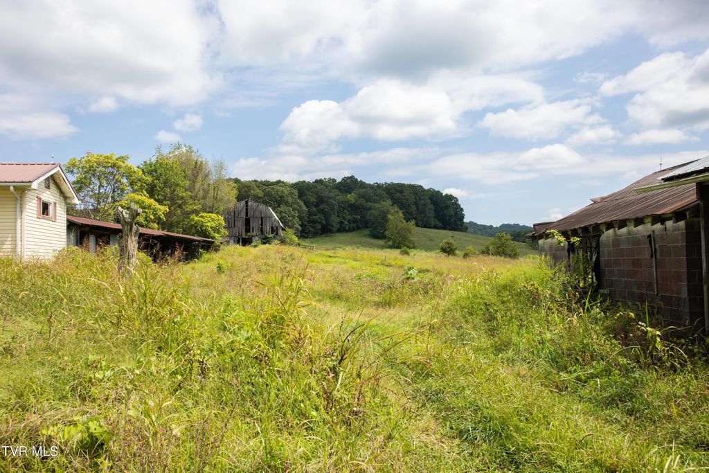 Photo of 2710 Jearoldstown Road, Chuckey, TN 37641 (MLS # 9988028)