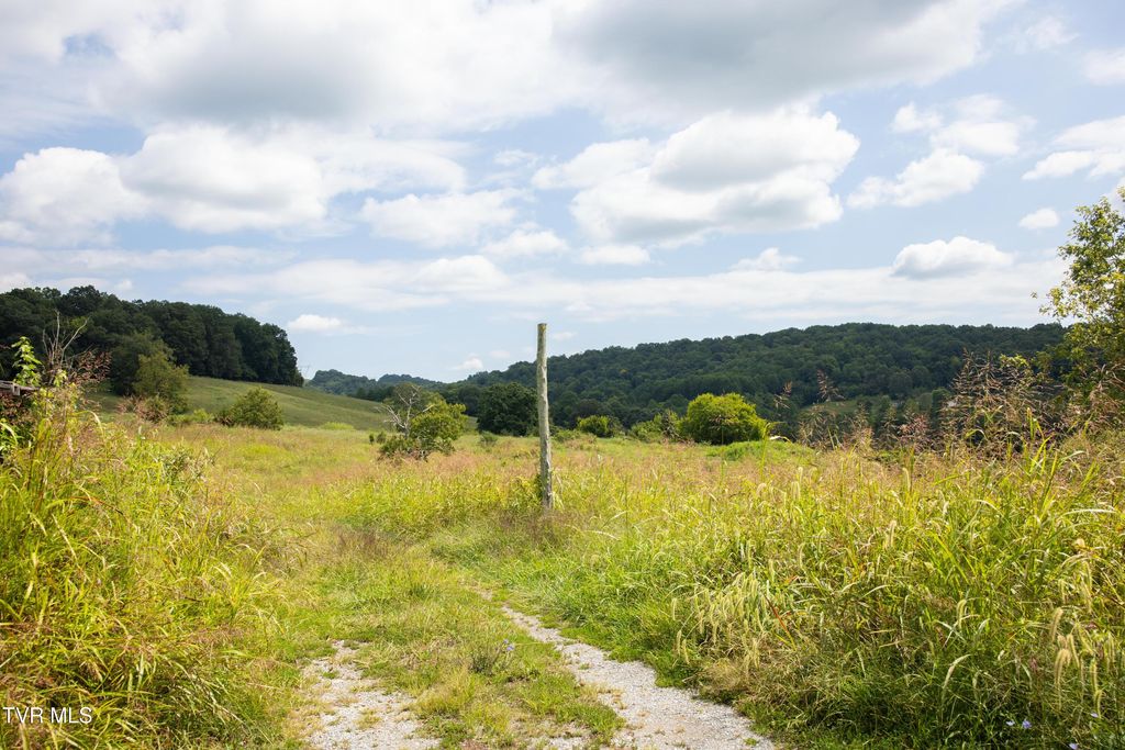 Photo of 2710 Jearoldstown Road, Chuckey, TN 37641 (MLS # 9988028)