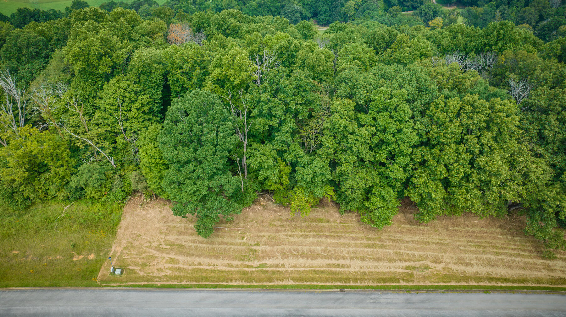 Lot 41 Chimney Top Lane, Chuckey, Tennessee image 6