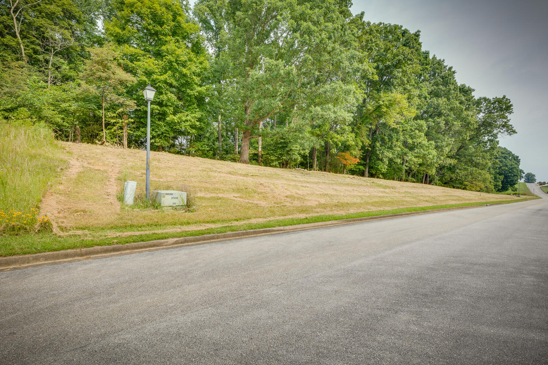 Lot 41 Chimney Top Lane, Chuckey, Tennessee image 3