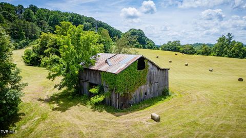 Vacant Land For Sale - 672 Treadway Trail<br/> Washington County, Telford, TN 37690