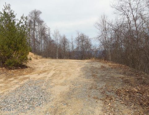 Vacant Land For Sale - 1012 Locust Lot 40 Lane<br/> Butler, TN 37640