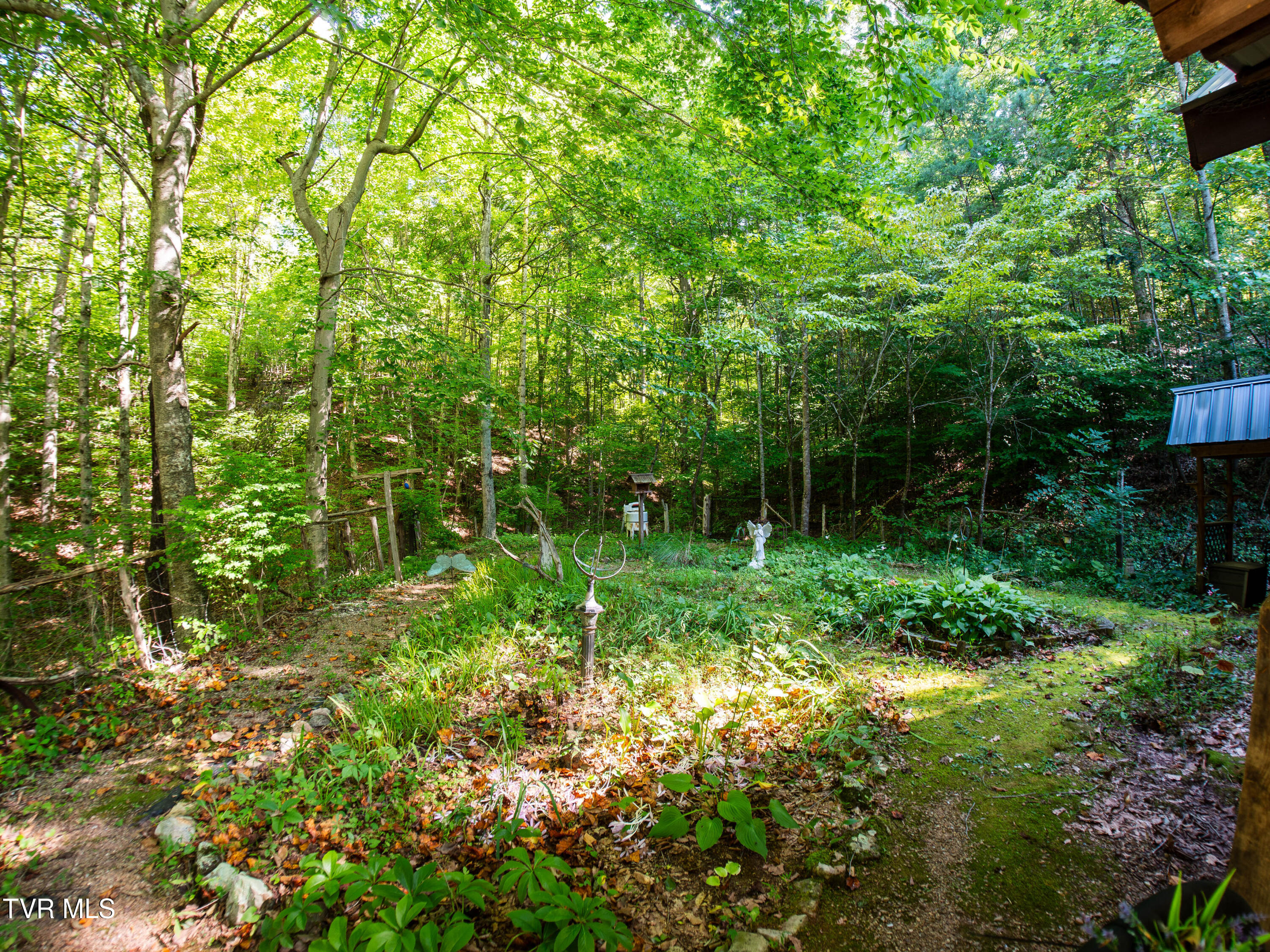 1736 War Valley Road, Rogersville, Tennessee image 6