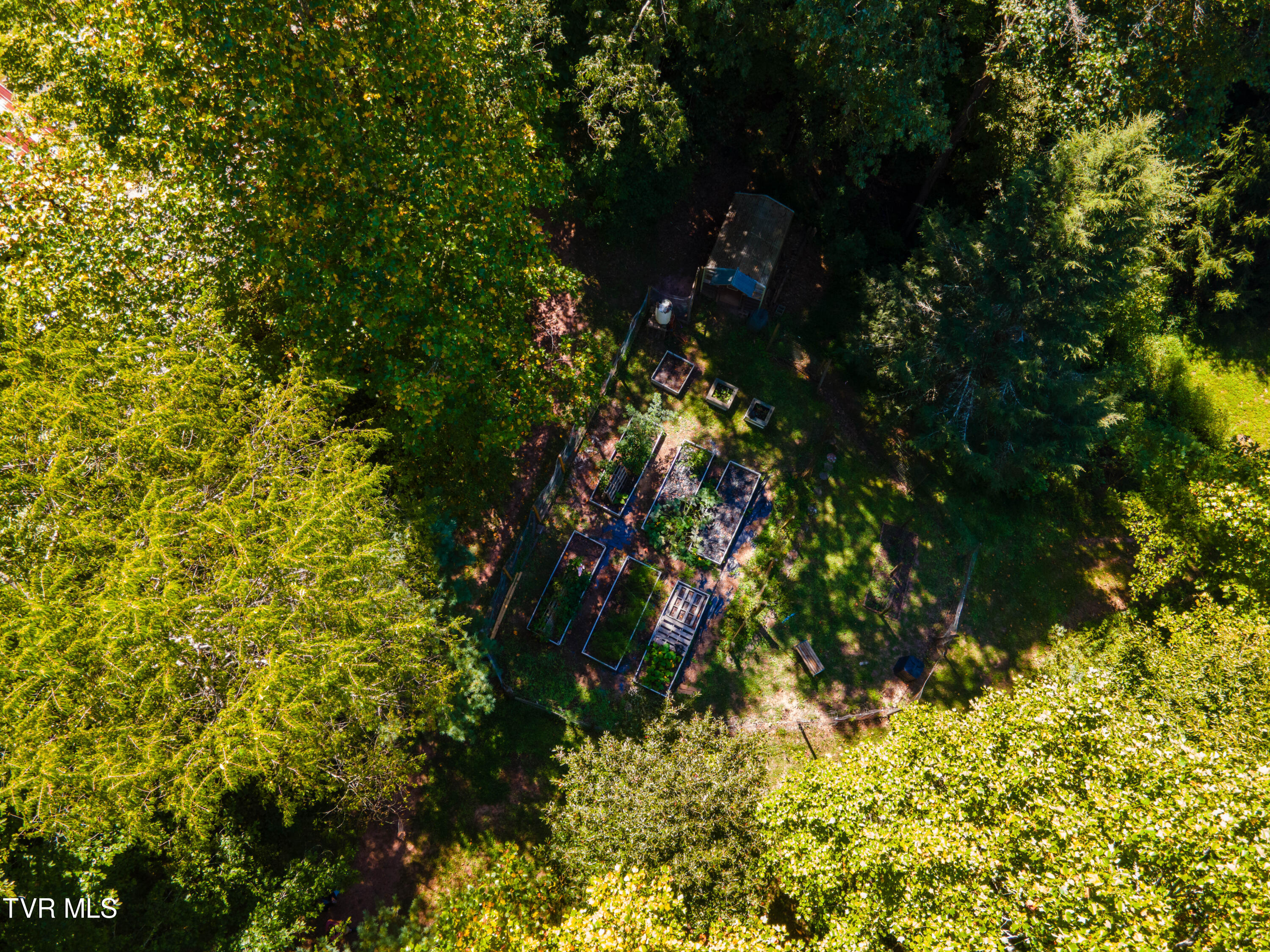 1736 War Valley Road, Rogersville, Tennessee image 27