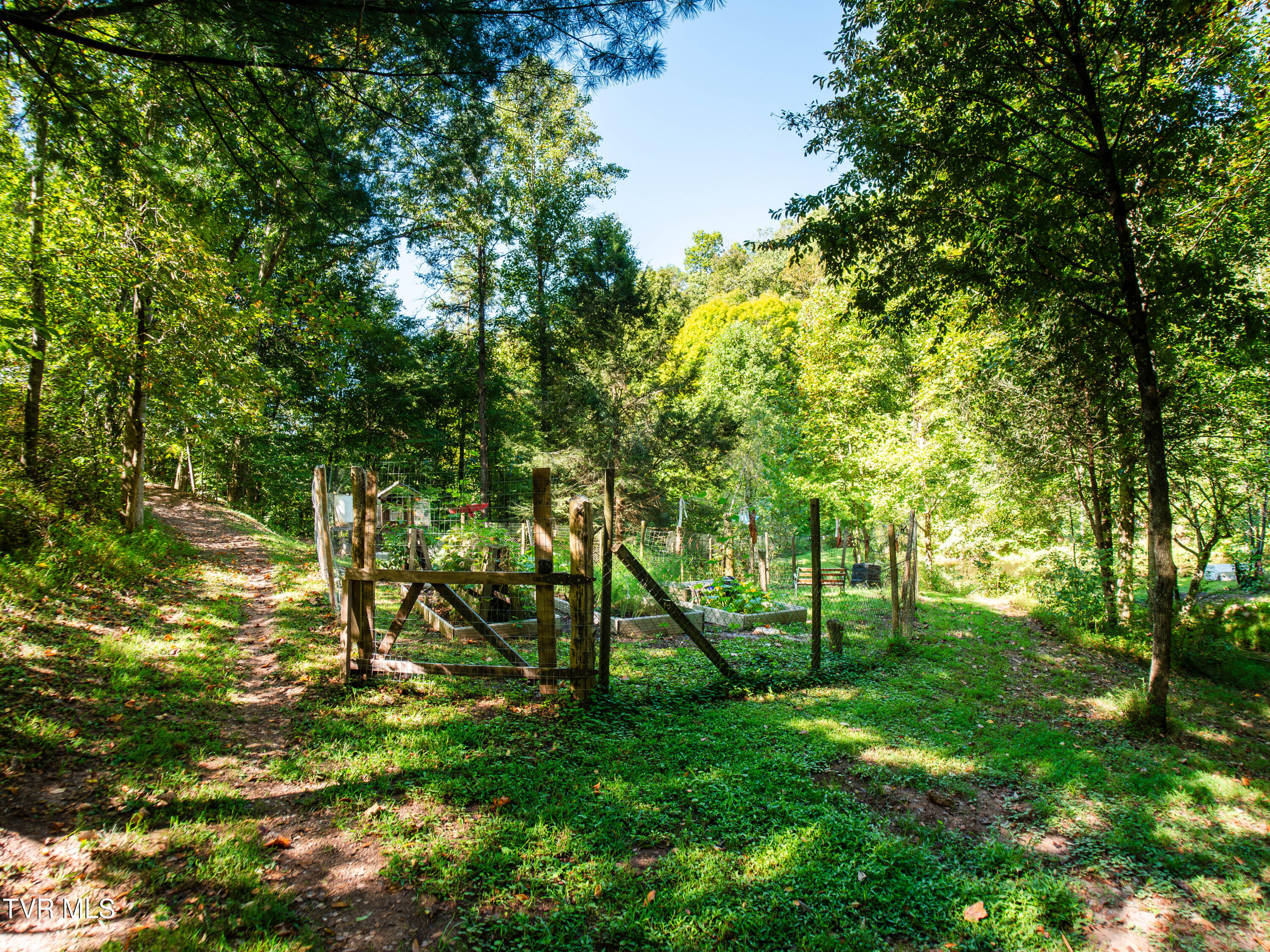 1736 War Valley Road, Rogersville, Tennessee image 30