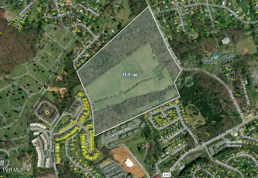 Tbd Shipp Springs Road, Kingsport, Tennessee image 2