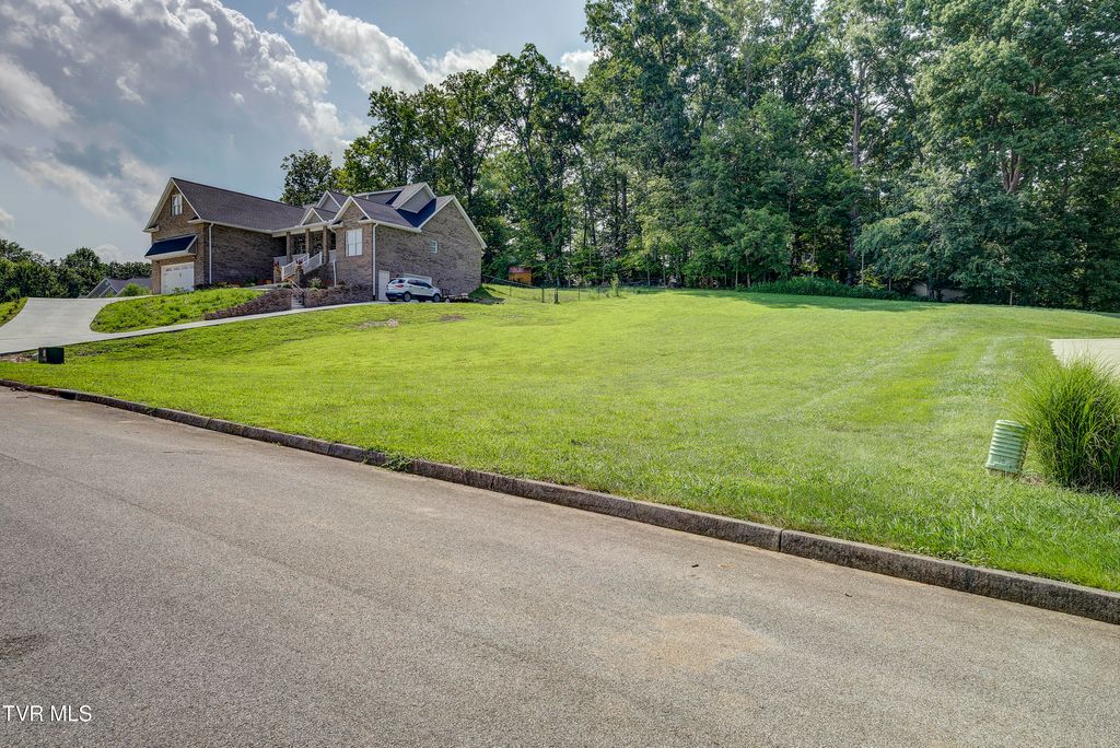 Photo of 172 Sugarcane Lane, Blountville, TN 37617 (MLS # 9983943)