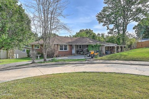 Photo of 2008 Brookwood Road, Kingsport, TN 37664 (MLS # 9995516)