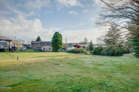 Vacant Land For Sale - LOT  3 Broad Street<br/> Elizabethton, TN 37643