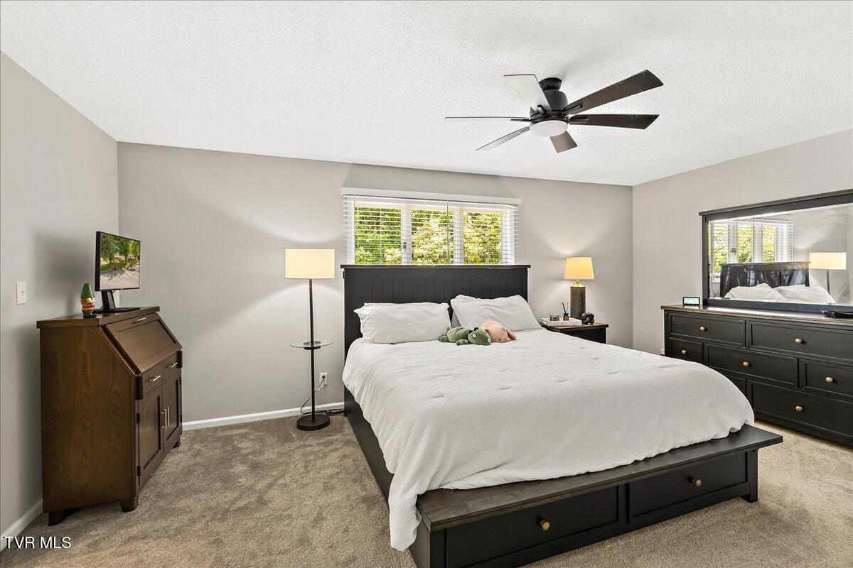 1837 Presswood Road #1837, Johnson City, Tennessee image 29