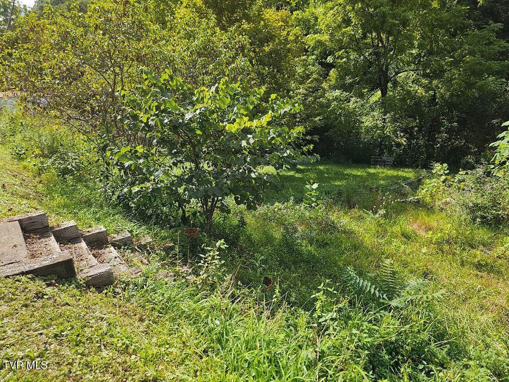 Photo of 8835 Maple Road, Pound, VA 24279 (MLS # 9985067)