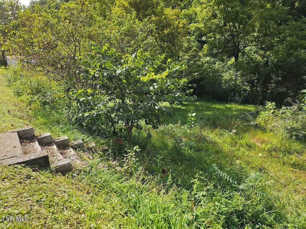 Photo of 8835 Maple Road, Pound, VA 24279 (MLS # 9985067)