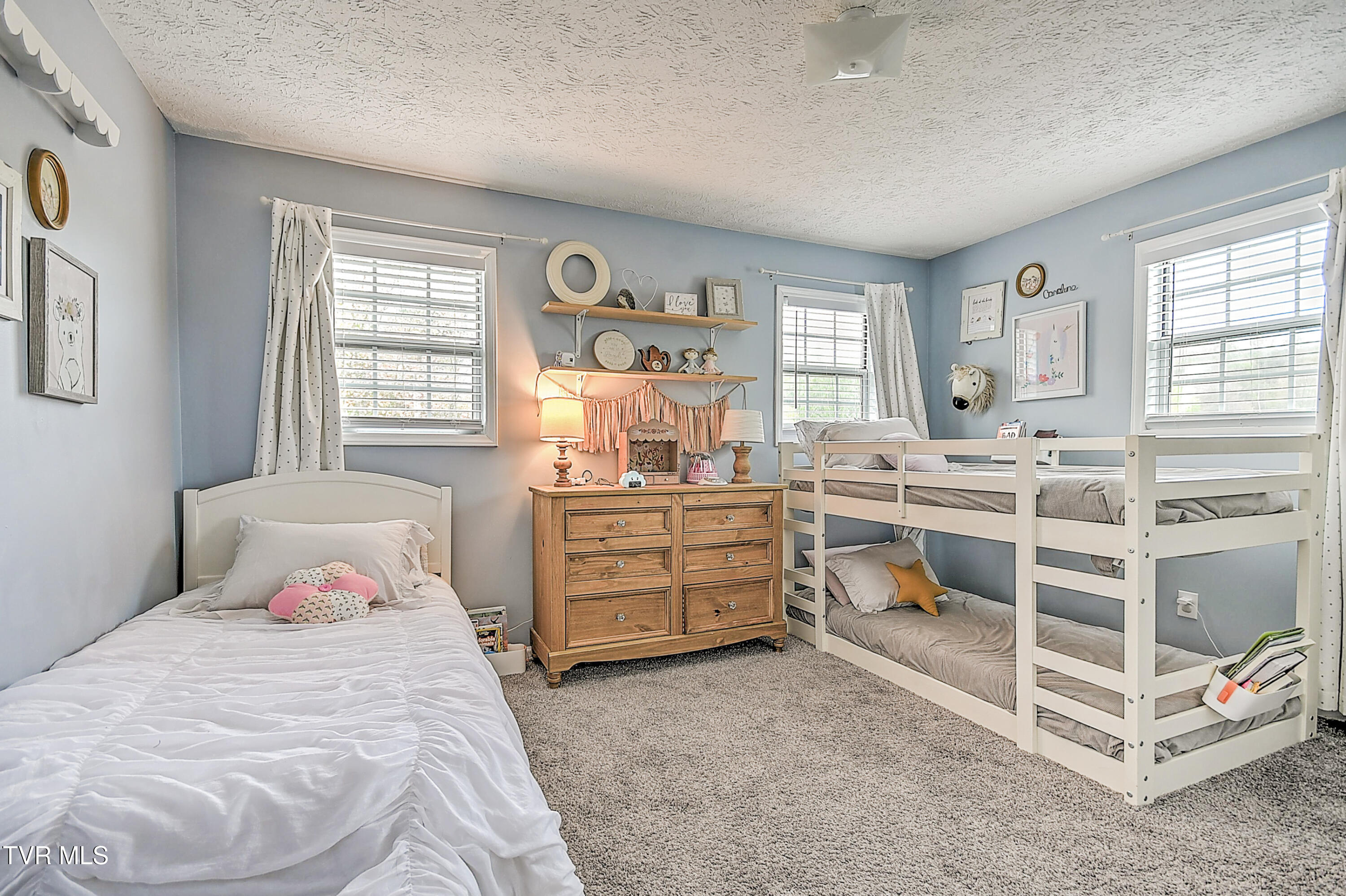 3700 Deepwood Drive, Johnson City, Tennessee image 30
