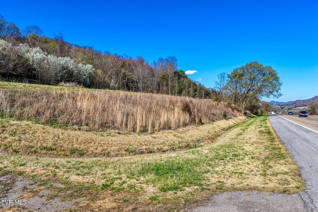 Photo of 11 Highway 11 #Tbd11, Rogersville, TN 37857 (MLS # 9992545)