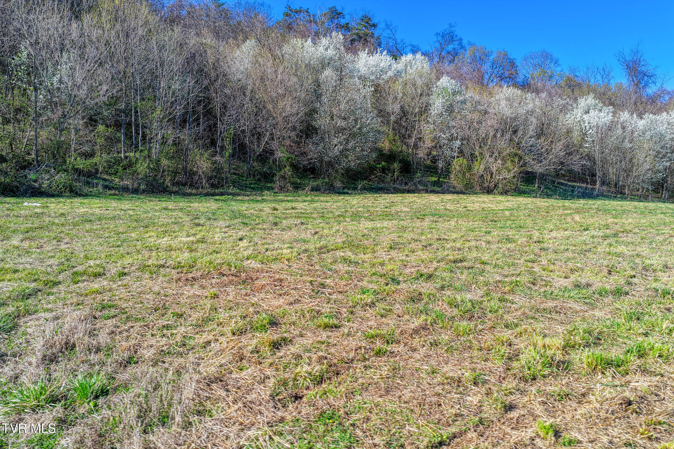 Tbd11 Highway 11 Tbd11