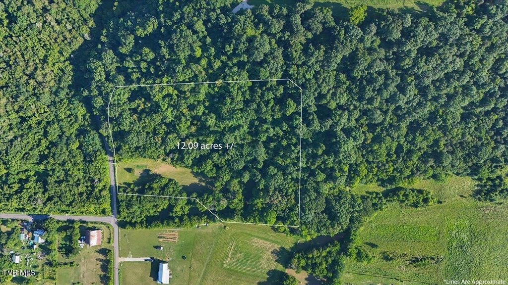 Photo of Tbd Piedmont Road, New Market, TN 37820 (MLS # 9982400)