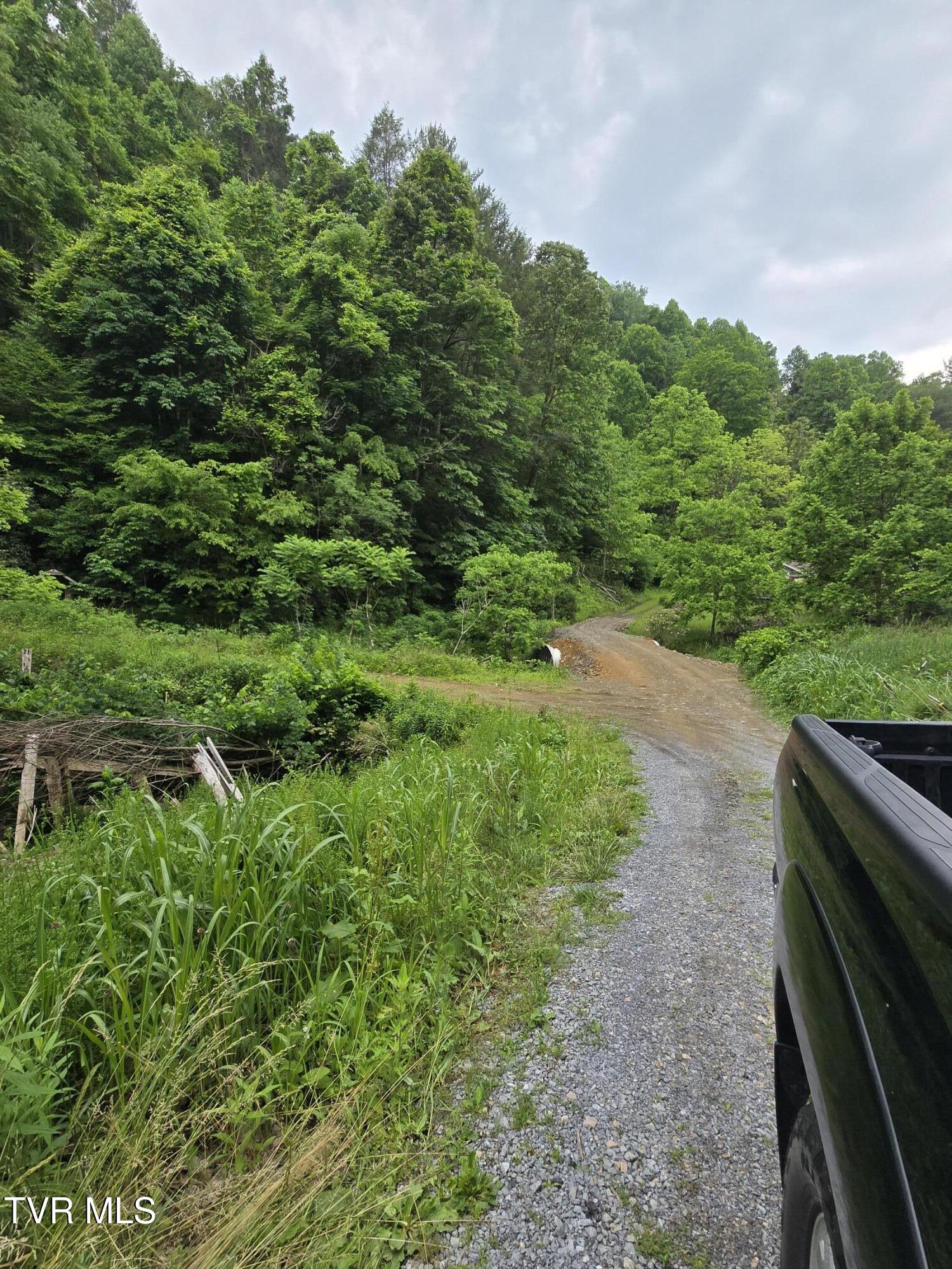 719 Simerly Creek Rd, Hampton, Tennessee image 1