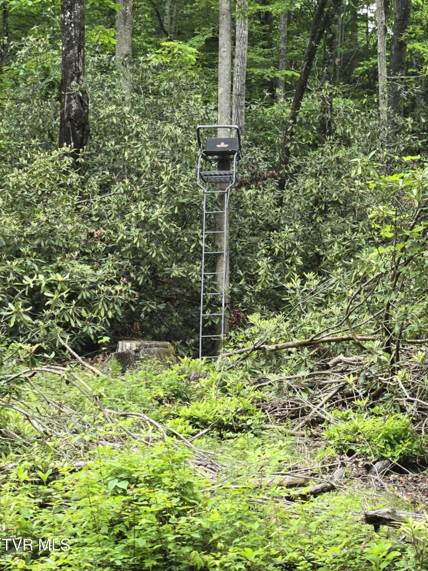 719 Simerly Creek Rd, Hampton, Tennessee image 14