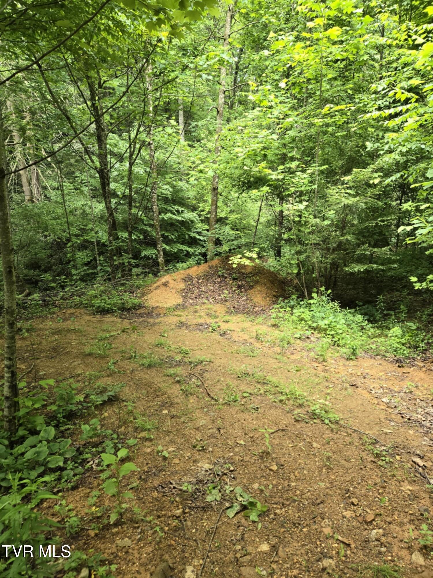 719 Simerly Creek Rd, Hampton, Tennessee image 8