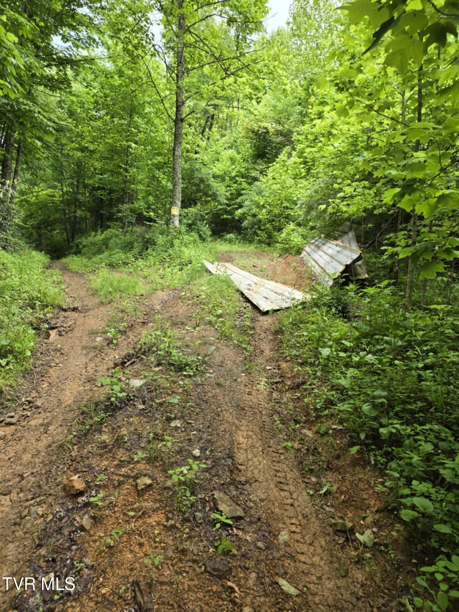 719 Simerly Creek Rd, Hampton, Tennessee image 7