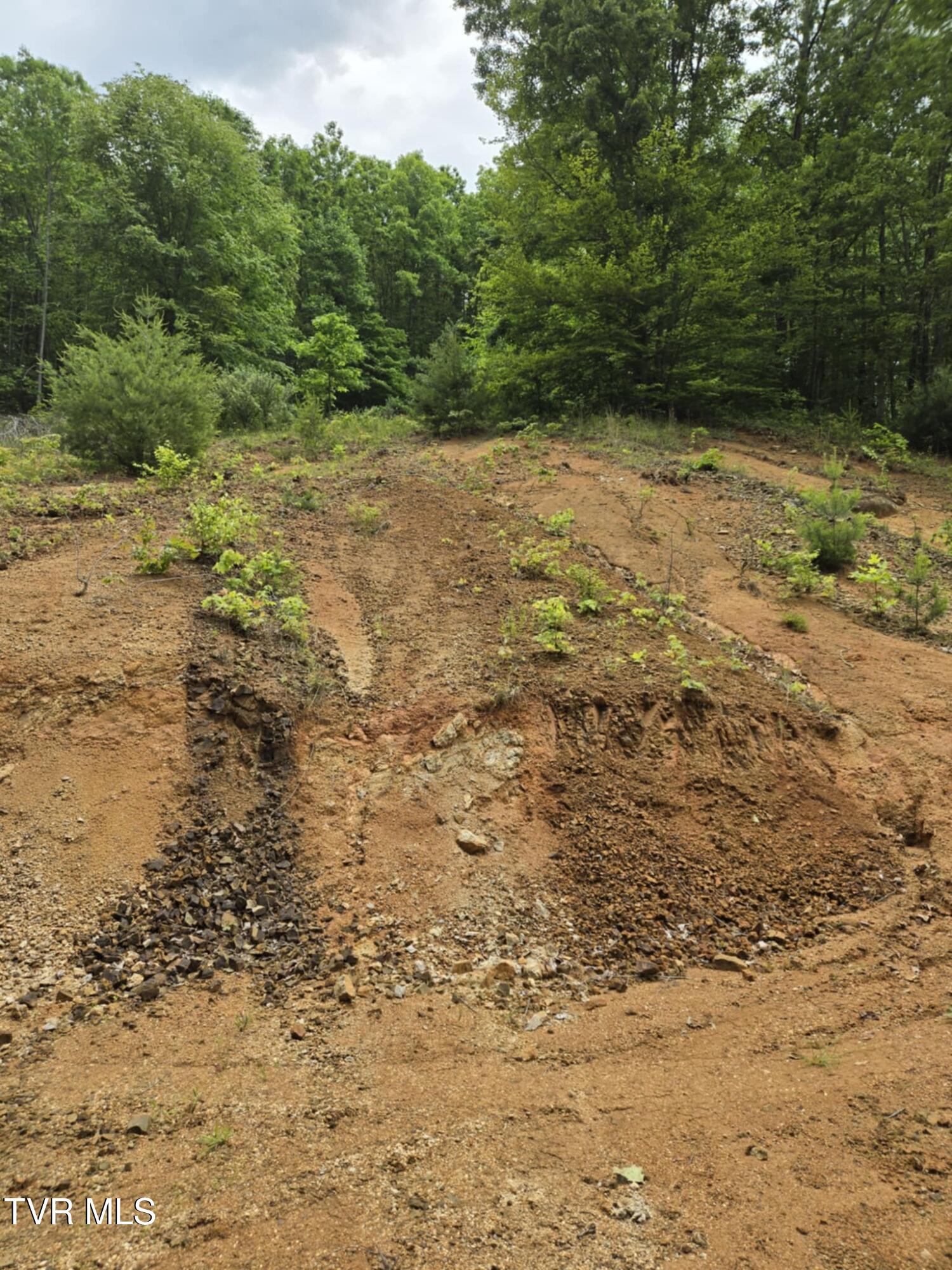 719 Simerly Creek Rd, Hampton, Tennessee image 11