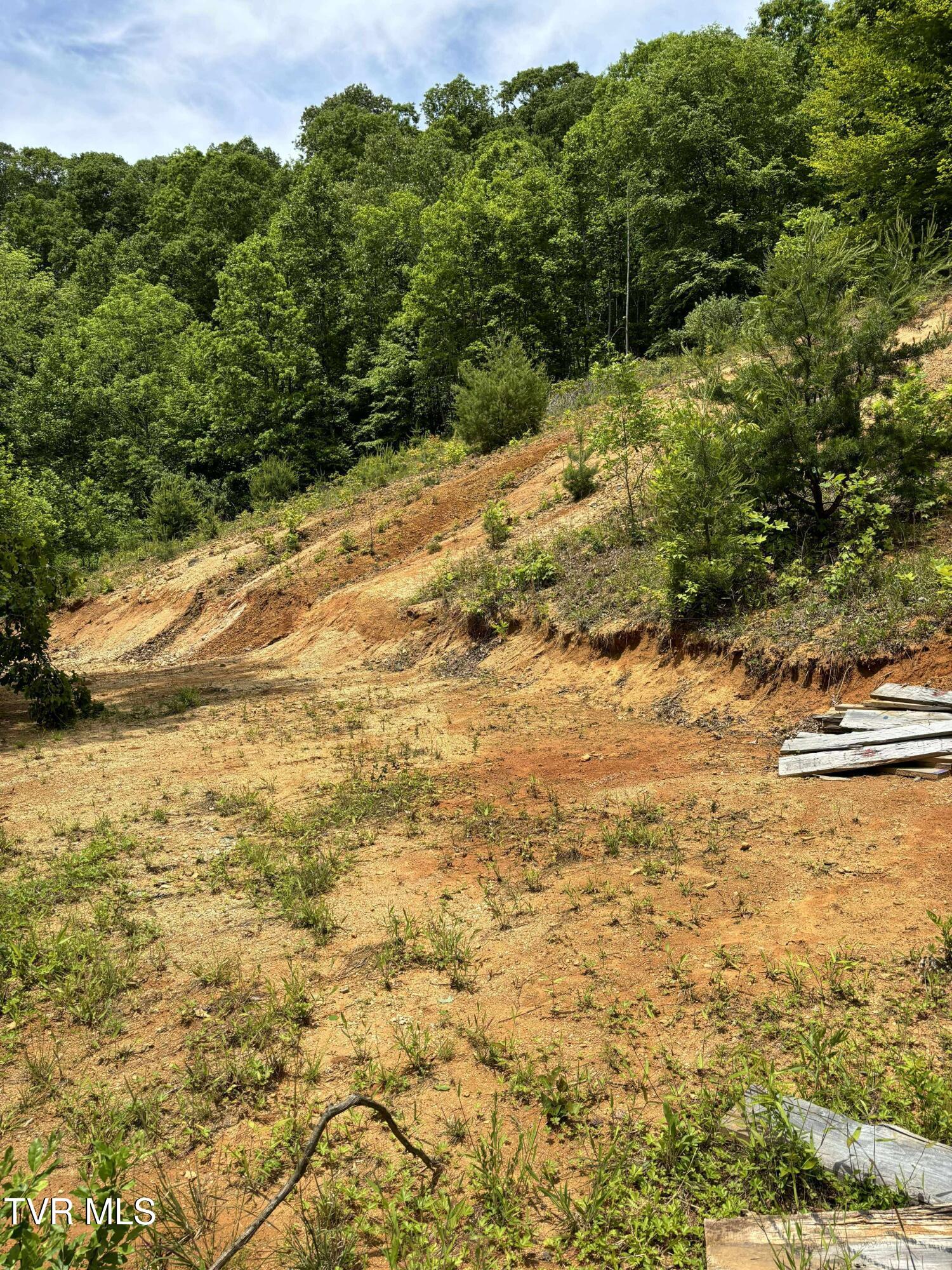 719 Simerly Creek Rd, Hampton, Tennessee image 5