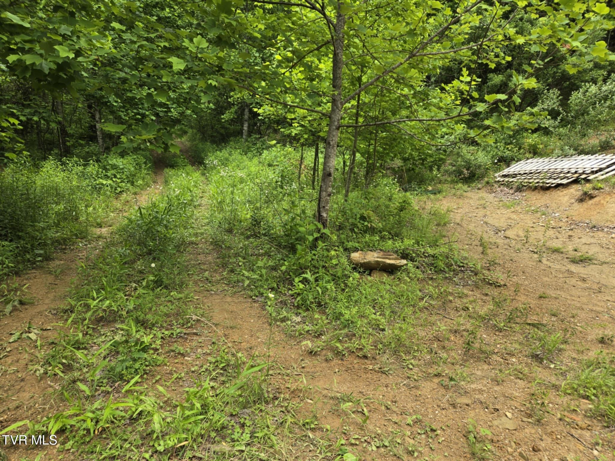 719 Simerly Creek Rd, Hampton, Tennessee image 12