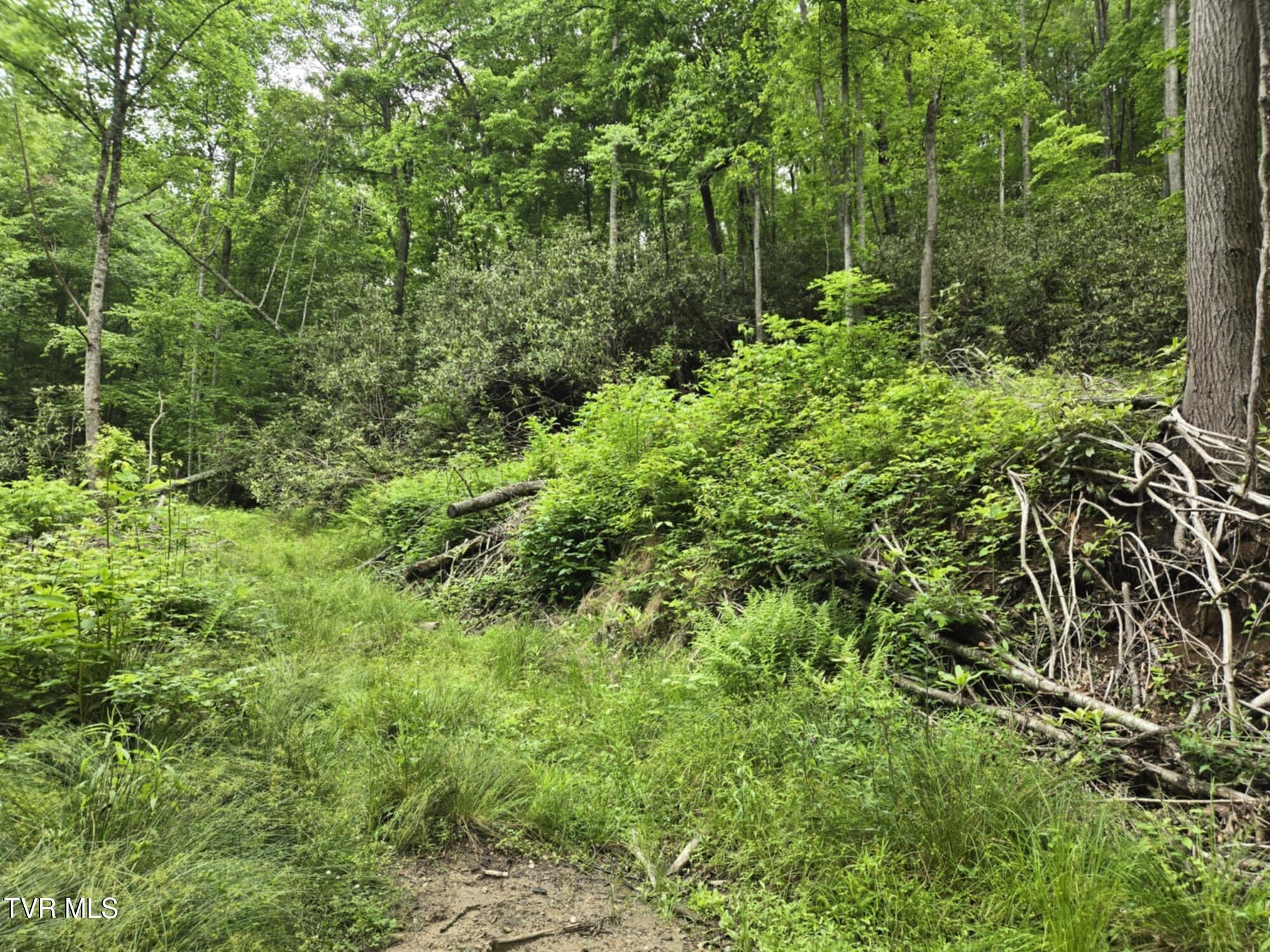 719 Simerly Creek Rd, Hampton, Tennessee image 6