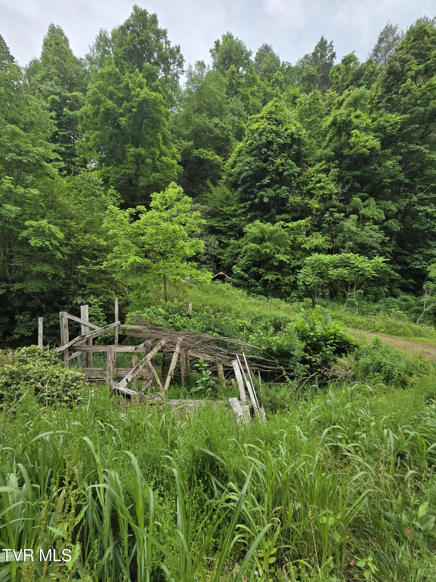 719 Simerly Creek Rd, Hampton, Tennessee image 2