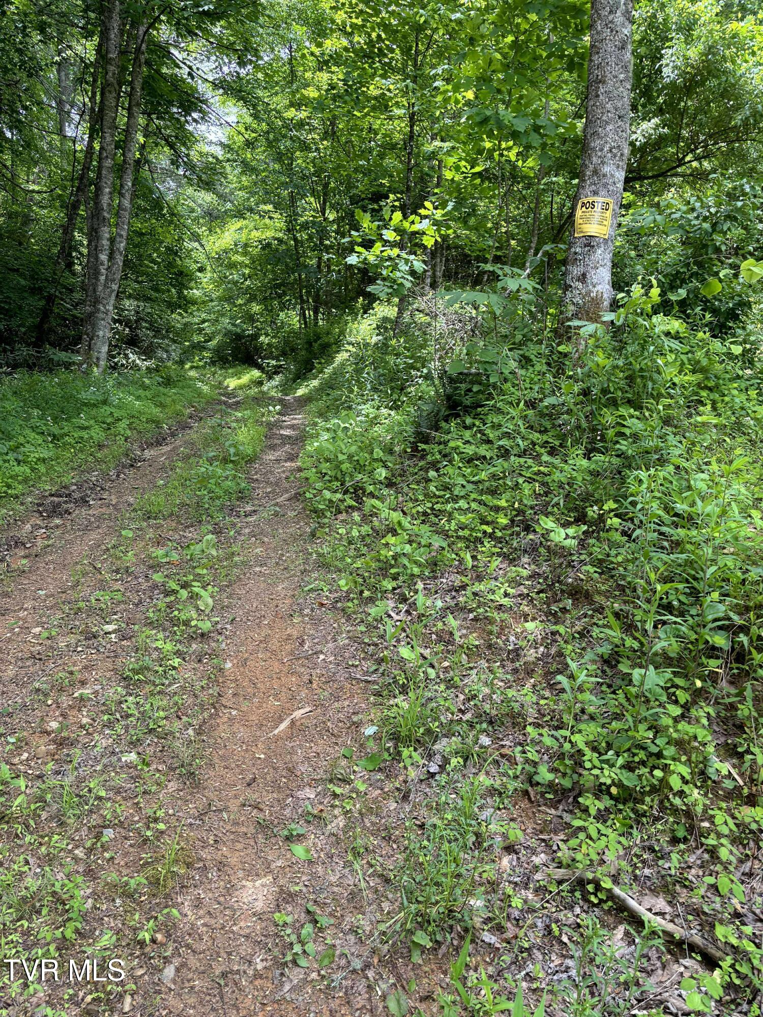 719 Simerly Creek Rd, Hampton, Tennessee image 3