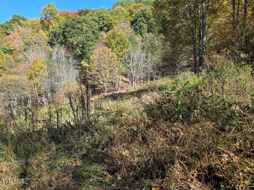 Parcel 2 Miller  Road
