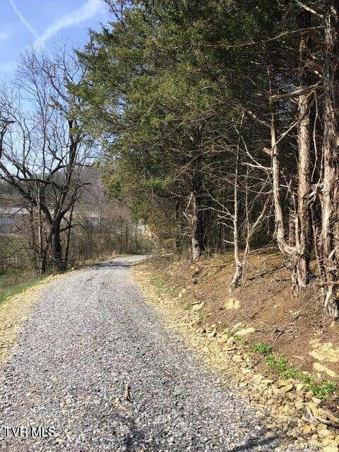 Photo of 824 Andrew Johnson, Bulls Gap, TN 37711 (MLS # 9996337)