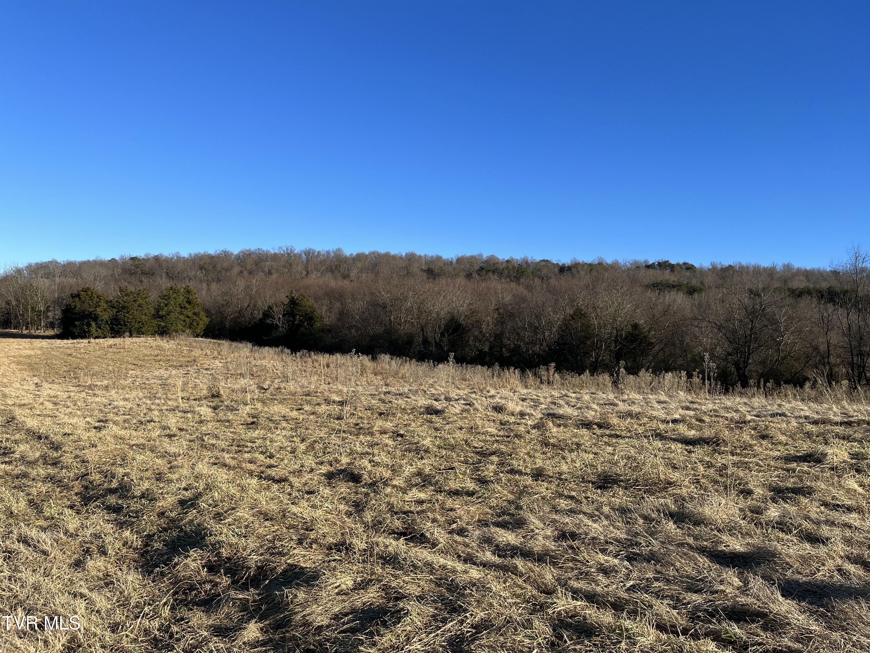 Tbd Lot 2 Old Asheville Highway