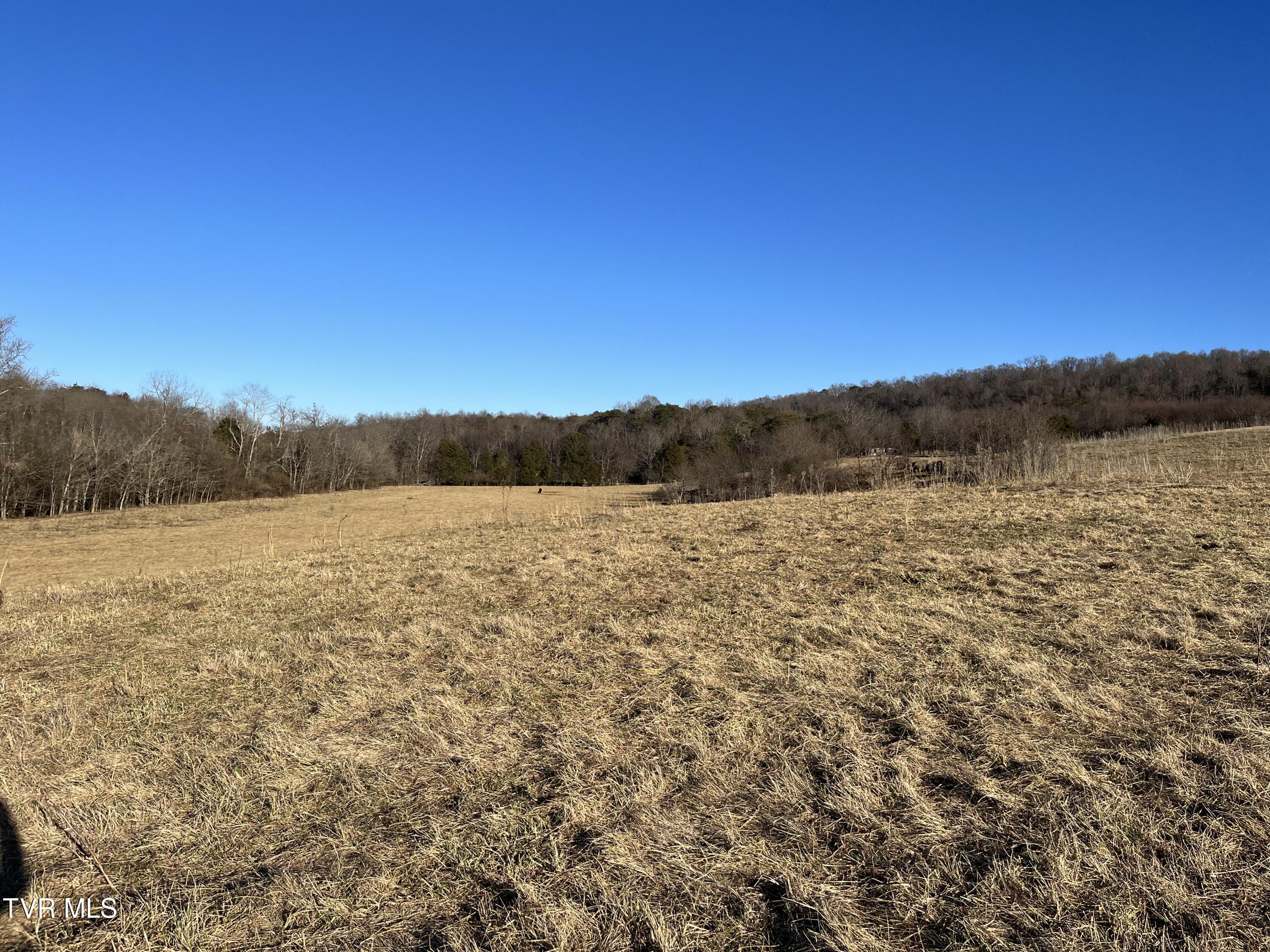 Tbd Lot 2 Old Asheville Highway