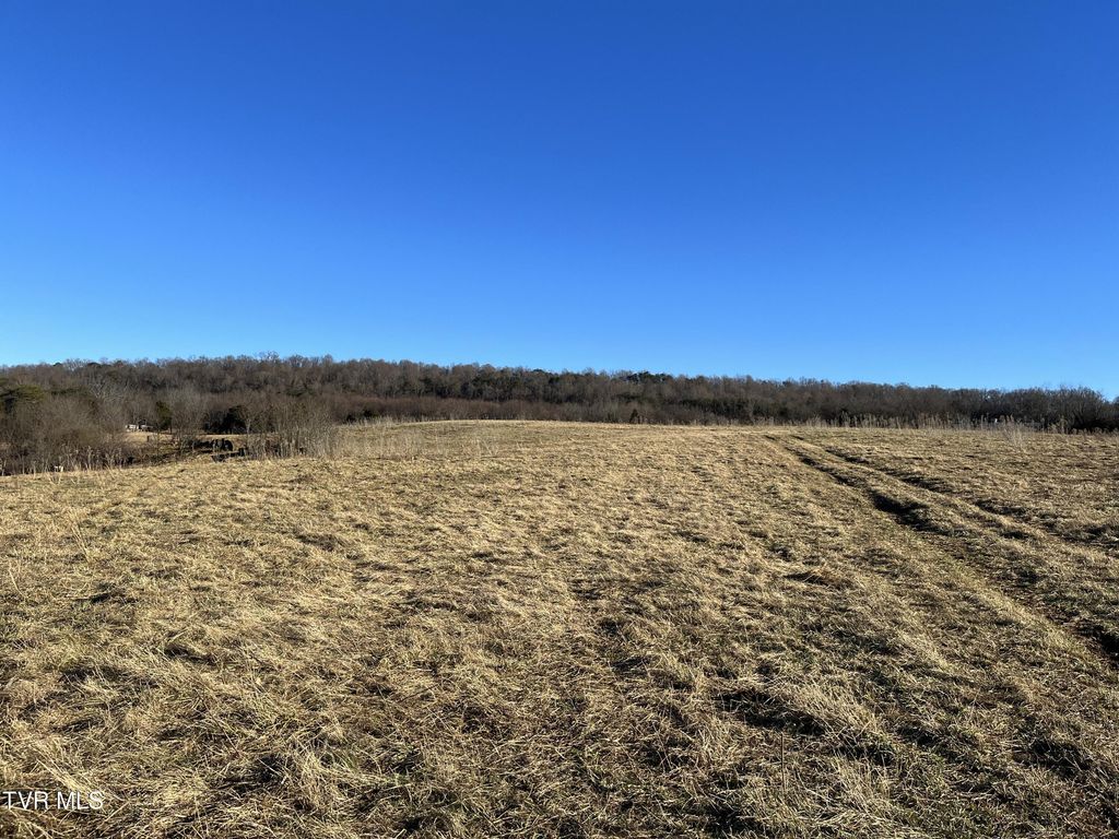 Photo of 2 Old Asheville Highway, Greeneville, TN 37743 (MLS # 9961028)