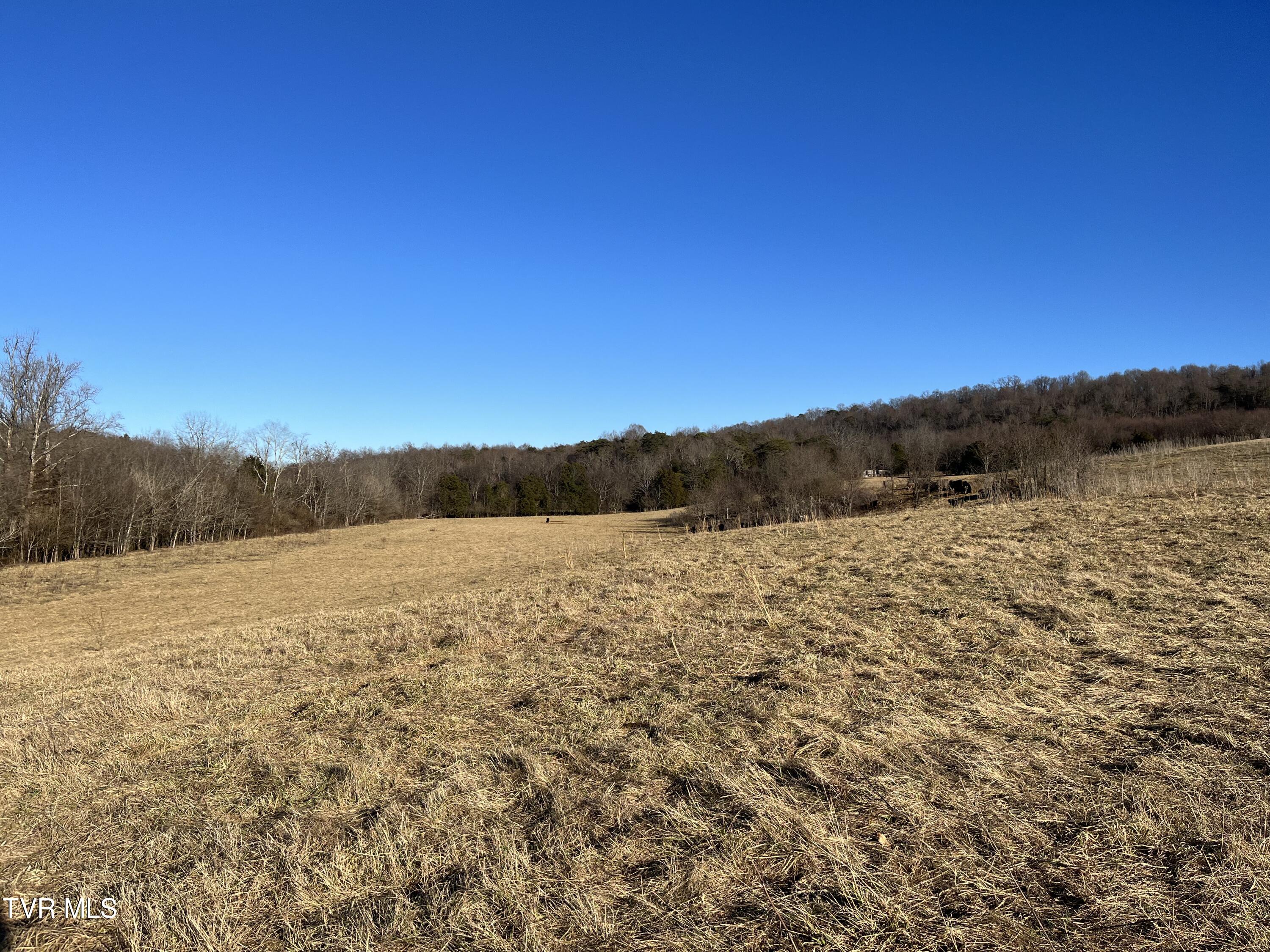 Tbd Lot 2 Old Asheville Highway