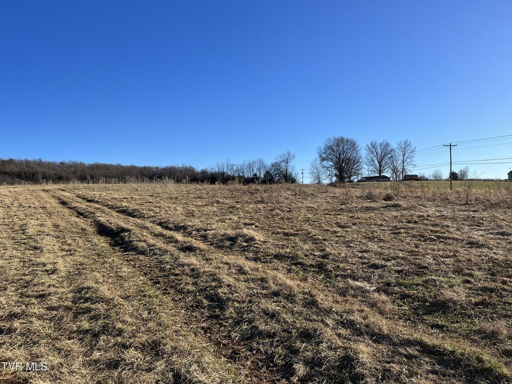 Photo of 2 Old Asheville Highway, Greeneville, TN 37743 (MLS # 9961028)