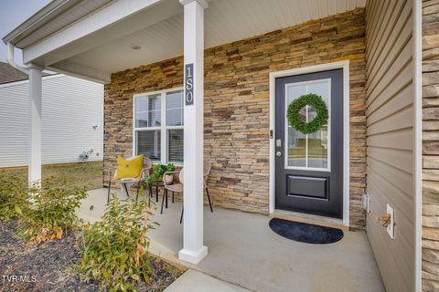 Photo of 180 Tanasqui Drive, Johnson City, TN 37604 (MLS # 9990838)