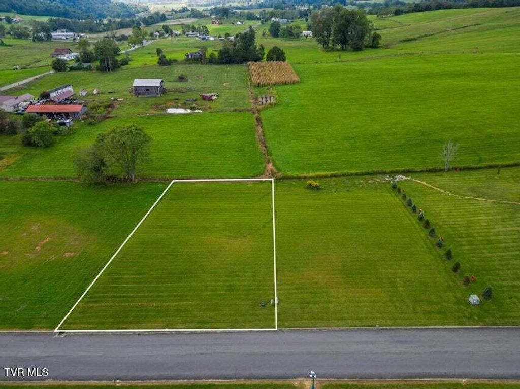 Photo of 43 Walnut Grove Drive, Church Hill, TN 37642 (MLS # 9991385)