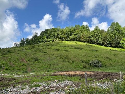 Vacant Land For Sale - Ivanhoe Road<br/> Bristol, VA 24202