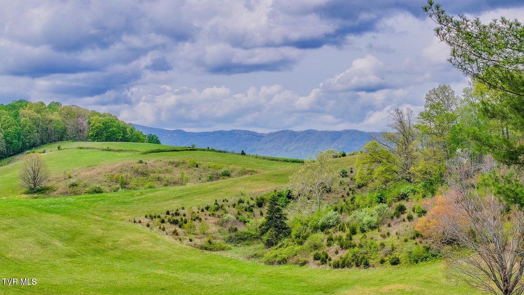 Photo of 207 Pleasant View Road, Rose Hill, VA 24281 (MLS # 9993674)